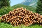 Pile of Wood