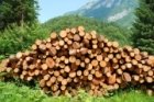 Pile of Wood