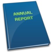 annual financial report